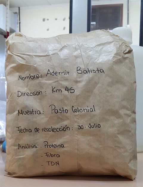 Datos en la Etiqueta