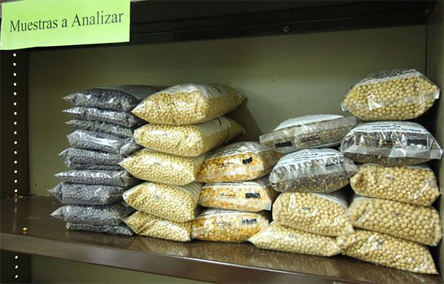 Muestras de Semillas a Analisar